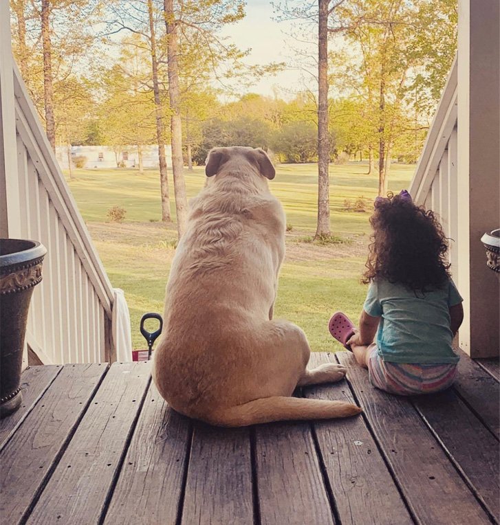 Child walking beside a large dog